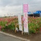 帰りは花見 お土産もあり