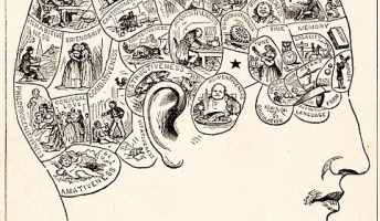 彡(゚)(゚)で学ぶ巷で人気のエセ科学