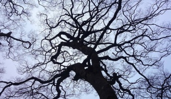 友人をノイローゼにした「死んだ彼氏の本音」他【自分の心霊体験談を語るスレ】