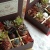 Gift for St'Valentine's day