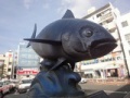 画像du 161