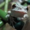 寒いけど、食べてます。