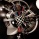 THE Panoramic 360��
