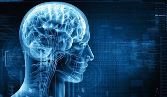 人間に自我があるとか自由意志があるとか全部間違い