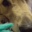 ���ͷ�Ӥäݤ��������ͷ�ӡ�