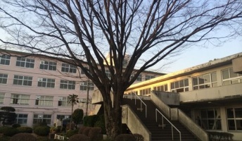 同和問題でいじめられていた俺の人生を振り返ってみる