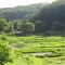 【観光動画】井戸尻史跡公園の「大賀ハス」（富士見町）