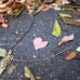 2011ǯ11·î11Æü¤ÏÆÃÊÌ¤ÊÆü¤Ë¤Ï¤Ê¤é¤Ê¤«¤Ã¤¿