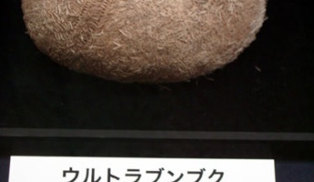 と に か く 変 な 名 前 の も の 貼 っ て く