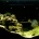 �Ȥ���ޥ��������μ���ʥĥ��ۥ���,Speckled blue grouper��