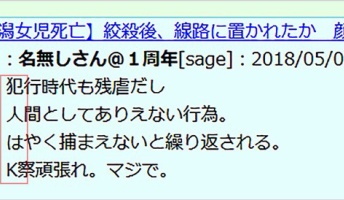 【衝撃】新潟女児殺害事件の小林遼容疑者が2ちゃんねるに書き込みか / 2chで犯行に関する発言か「犯人はK」