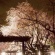 【画像有】桜はなぜ1週間しか仕事をしないのか…福岡で開花
