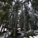 冬の愉しみ 尾白川渓谷の雪散策 その3