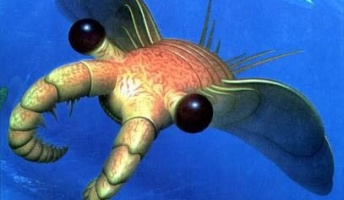 5億年前の最強生物アノマロカリス!古代の生物ってなぜこんなにも魅力的なのか