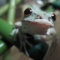 寒いけど、食べてます。