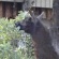 冬の動物園