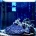 3���ܤ��餢������ʲ��˥˥��ϥ� Acanthurus lineatus