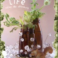 ★Ｌｉｆｅ♪。・*