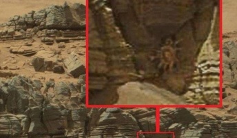 【画像】火星でカニのようなものを発見