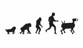 進化論っていまいち納得出来ないんだけど