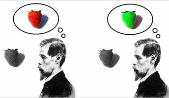 哲学者「私が見ている「青」が他人にとっての「赤」であるということを否定できない」