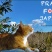  pray��for��japan���������ܤΤ���˵������