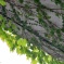 2012.05.01