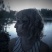 Sophie Hutchings Japan tour in Nara��Waves & ResonanceVol.5��