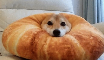 このgif可愛すぎるんだがwwwwwwwwwwwww