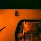 golden half+red scale