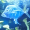 サンシャイン国際水族館
