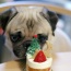 ��Merry Christmas��