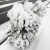 今期の初雪です