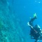 バリ島のダイビング４