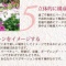土日、「レノンの庭」相談会