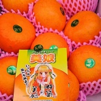 魚屋のたわごと、ざれごと、ひとりごと