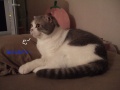おじいちゃん的発言。。。