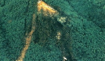 【陰謀?】日航機墜落事故の原因が自衛隊の誤射ってマジなん?