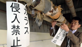 【マジかよ】「カラス侵入禁止」警告文をつるしたら本当にカラスが来なくなった!
