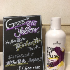 MINX青山 おすすめアイテム 阿部です。