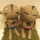 2.14 ��VALENTINE��DAY