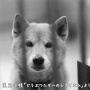 �� �饹�ȥݡ��ȥ졼�ȡ������������������ �� �̿�Ÿ�Τ�����