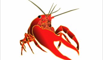 アメリカザリガニの繁殖力スゴすぎワロタwwww
