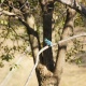 ��550�ǥ��糧�ߡ���DT18-250����Part10