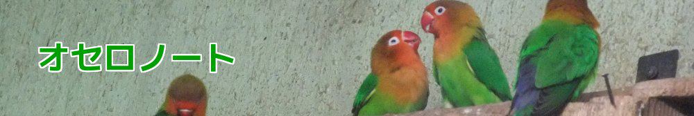 オセロノート イメージ画像