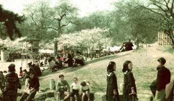 【貴重画像】占領下の京都貴重なカラー写真公開 米軍医撮影 明るく躍動的な復興の様子捉える