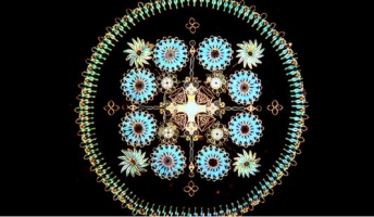 知られざるミクロの芸術!顕微鏡で見た「藻」がまさかの様式美で話題に