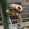 細部へのこだわりを積み重ねる( 草野邸 7)