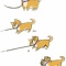 一 番 か わ い い 犬 は 柴 犬