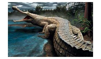 古代の巨大生物ロマンあり杉wwwwwwww